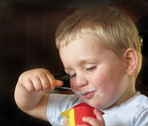 子どもも大好き!14種類のヘルシー弁当