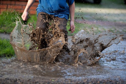 寄生虫の感染の仕方