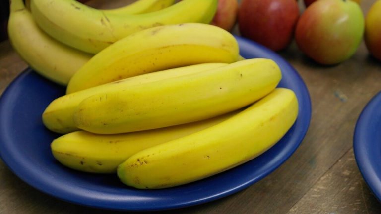 ヘルシーで栄養もたっぷり