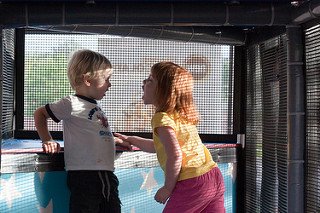 怒鳴らないように教える