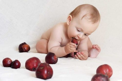 フルーツをかじる赤ちゃん