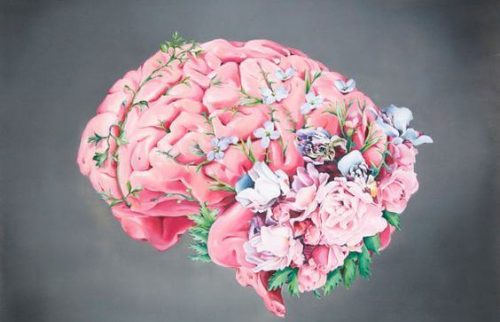 脳と花