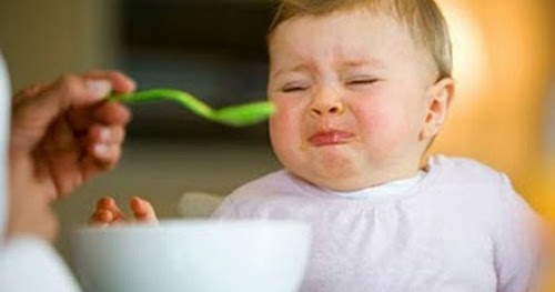 子供に食べることを強制してはいけない３つの理由
