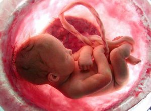 妊娠に関する知られざる7つの事実