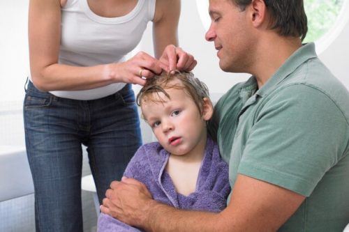 子どものシラミ予防と７つの対処法