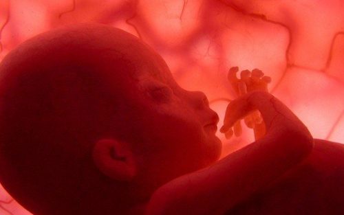 お腹の中の胎児 妊娠 迷信
