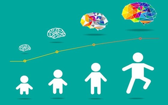 子供の脳の発達