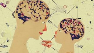 知っておきたい子供の脳の発達に関する5つの法則