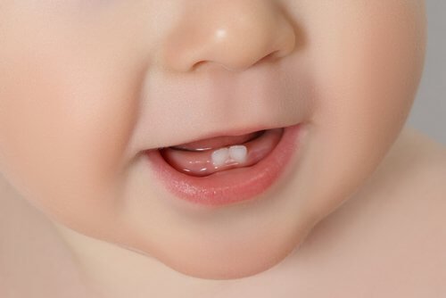 下の前歯2本が生えた赤ちゃんの口