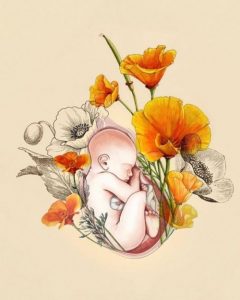 生まれるずっと前からママはあなたを愛しています