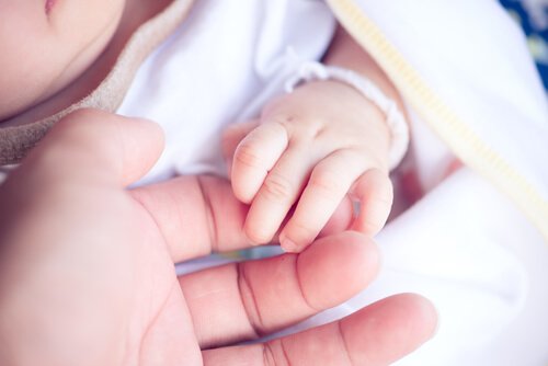 母親の手を触る赤ちゃんの手