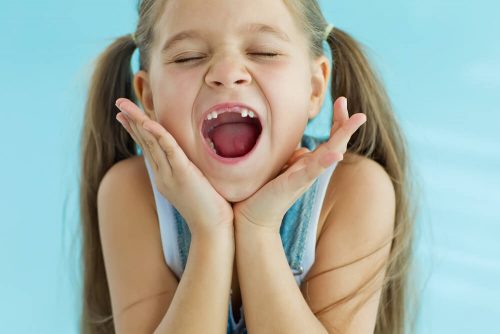 子供の歯には幹細胞があるんです