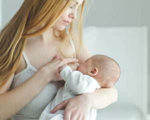 母乳の不思議:母乳の作られる仕組み