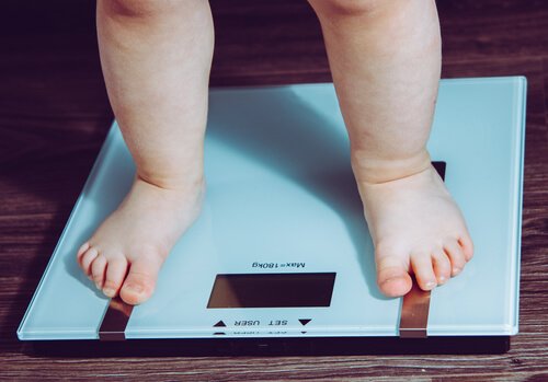 子どもの食生活-体重