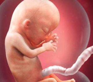 妊娠13週目を迎えたあなたへ