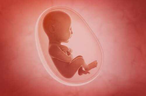 先天異常症候群の種類と発生防止
