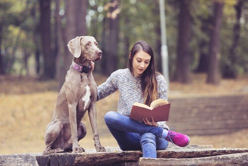 犬 十代のための本