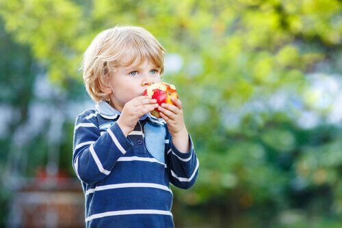 ヘルシーな食生活 幼少期
