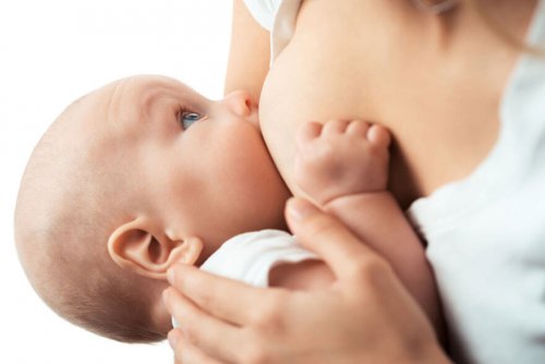 乳首の種類と特徴