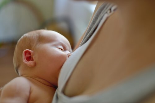 お乳を飲む赤ちゃん　赤ちゃん用ミルク　タイプ