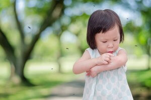 どうしてうちの子はよく蚊に刺されるの?原因と対処法をご紹介