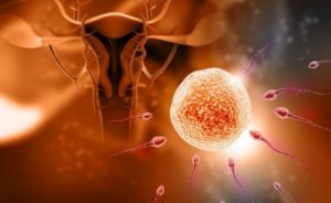 妊娠にまつわる5つの迷信について
