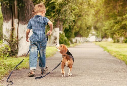 少年と犬 子ども ペット メリット