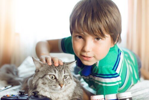 猫と子ども 子ども    ペット   メリット  