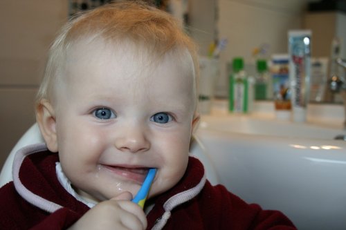 赤ちゃんの 最初の歯 について 最初の歯    乳歯   ケア  赤ちゃん