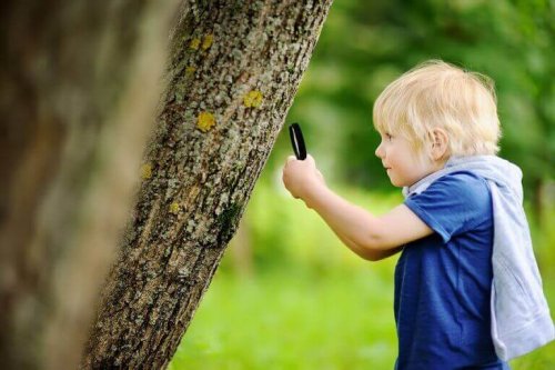 野外教室 としての子ども教育