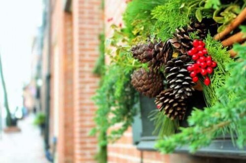 クリスマスに向けたお庭の飾りつけアイデア6選!