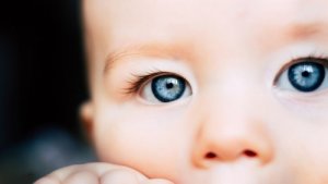 子どもの知覚発達:どのように感覚が成長していくのだろう?