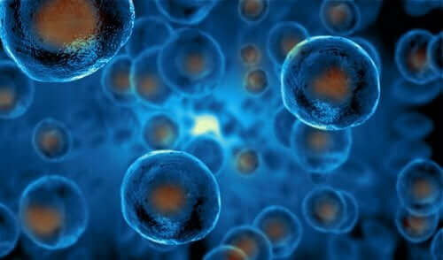 幹細胞について：どのように子どもに説明すればいい？