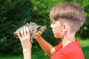 【子どもの自尊心】 効果的なタートル・テクニックを学ぼう!